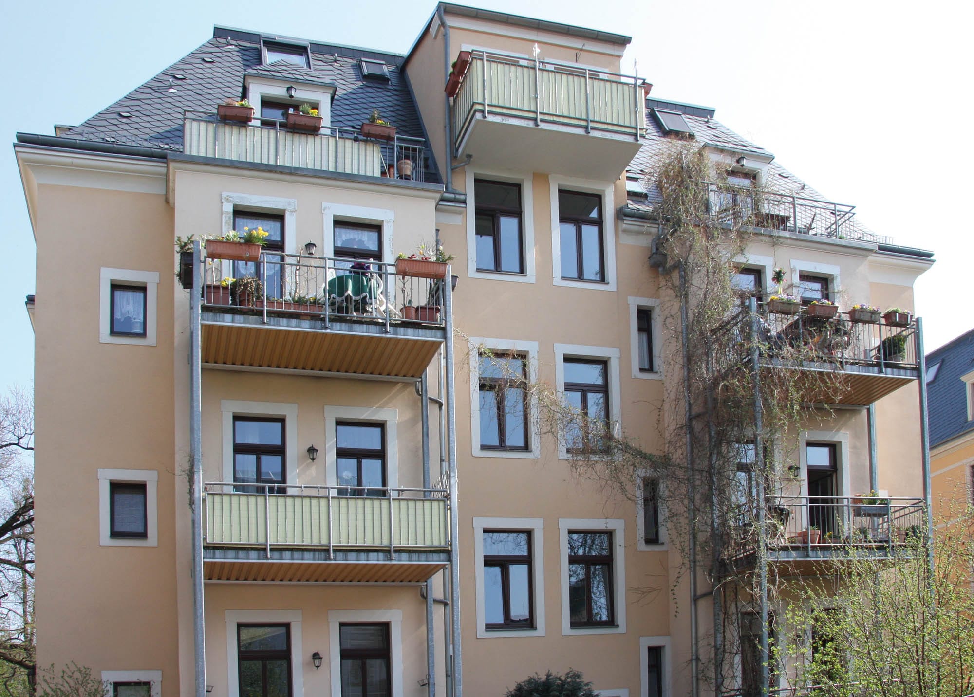 Villa Villa